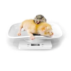 AIGUJI Small Pet Scale For Cat And Dog, Electronic Puppy Scales Kitchen Scale, Tray Portable Digital Scale For Small Pet Hatching And Food Weighing, Add Automatic Peeling Function Automatic Shutdown 11 AIGUJI Small Pet Scale For Cat And Dog, Electronic Puppy Scales Kitchen Scale, Tray Portable Digital Scale For Small Pet Hatching And Food Weighing, Add Automatic Peeling Function Automatic Shutdown -Kitchen Island Sale 317J8R7k1VL 1