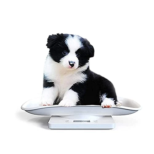 AIGUJI Small Pet Scale For Cat And Dog, Electronic Puppy Scales Kitchen Scale, Tray Portable Digital Scale For Small Pet Hatching And Food Weighing, Add Automatic Peeling Function Automatic Shutdown 2 AIGUJI Small Pet Scale For Cat And Dog, Electronic Puppy Scales Kitchen Scale, Tray Portable Digital Scale For Small Pet Hatching And Food Weighing, Add Automatic Peeling Function Automatic Shutdown - Image 2