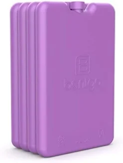 Ice Lunch Chillers - Ultra-Thin Ice Packs Perfect For Everyday Use In Lunch Bags, Lunch Boxes And Coolers - 4 Pack (Blue) -Kitchen Island Sale 31rtLF nzL. AC