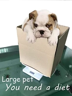 AIGUJI Small Pet Scale For Cat And Dog, Electronic Puppy Scales Kitchen Scale, Tray Portable Digital Scale For Small Pet Hatching And Food Weighing, Add Automatic Peeling Function Automatic Shutdown 10 AIGUJI Small Pet Scale For Cat And Dog, Electronic Puppy Scales Kitchen Scale, Tray Portable Digital Scale For Small Pet Hatching And Food Weighing, Add Automatic Peeling Function Automatic Shutdown -Kitchen Island Sale 41GnmZPzs7L