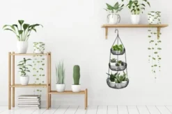 3-Tier Hanging Basket Fruit Organizer Kitchen Heavy Duty Wire Organizer With 2 Free Bonus Metal Ceiling Hooks, Black -Kitchen Island Sale 41Q5owS8L9L