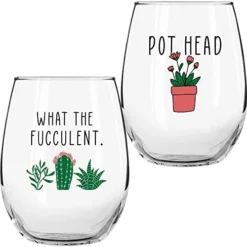 Succulent Plant Cactus Gifts For Women- Set Of 2 Funny Wine Glasses 15oz - Plant Lover Gift Mug - What The Fucculent- Pot Head Crazy - Plant Lady Wine Glass Tumbler - Custom Stemless Wine Glasses