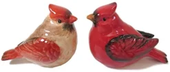 Cardinal Male And Female Salt And Pepper Shaker Set
