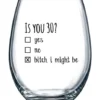 1990 30th Birthday Gift For Women And Men Wine Glass - Funny Is You 30 Gift Idea For Mom Dad Husband Wife – 30 Year Old Party Supplies Decorations For Him, Her - 15oz