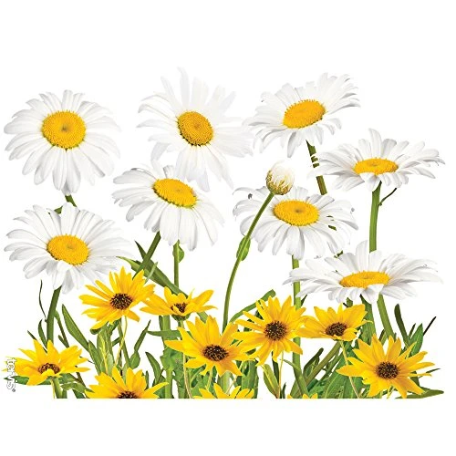 Tervis Plastic White Daisies Tumbler With Wrap And Yellow Lid 24oz, Clear 1 Tervis Plastic White Daisies Tumbler With Wrap And Yellow Lid 24oz, Clear