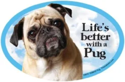 Cat And Dog Magnets, Basset Hound -Kitchen Island Sale 51P2dTboB7L. AC