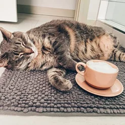 Ora Ceramics 8oz Cappuccino Mug Set Of 4 - Ceramic Coffee Cups With Saucers - Microwave And Dishwasher Safe, Perfect For Tea, Espresso, Latte - Porcelain Mugs For Kitchen Or Cafe - Assorted Neutrals -Kitchen Island Sale 618snSjzFFL