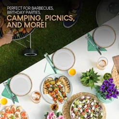 10-Inch Bamboo Paper Plate Holder (4 Count) - Heavy Duty Wicker Reusable Paper Plate Holders - Natural Charger Plates -Kitchen Island Sale 61euqmT1HqL